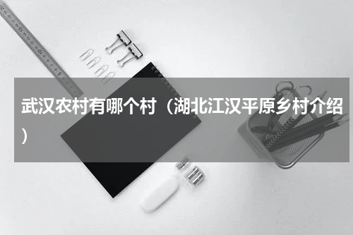 武汉农村有哪个村（湖北江汉平原乡村介绍）