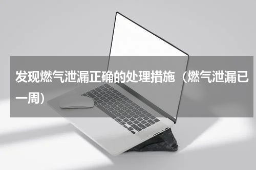 发现燃气泄漏正确的处理措施（燃气泄漏已一周）