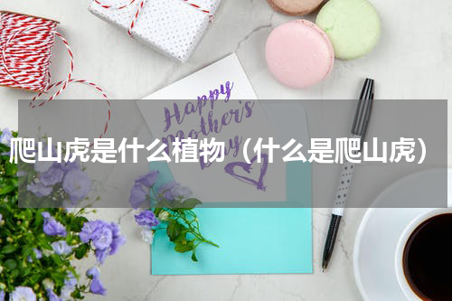 爬山虎是什么植物（什么是爬山虎）