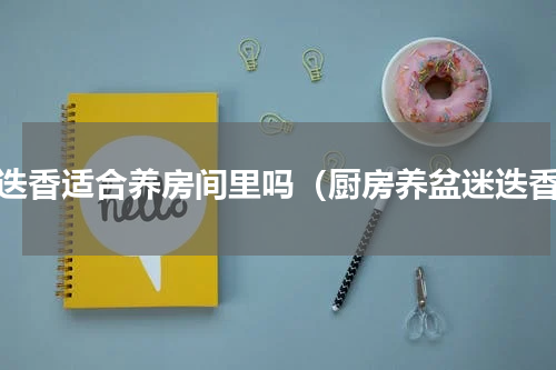 迷迭香适合养房间里吗（厨房养盆迷迭香）