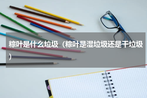 粽叶是什么垃圾（粽叶是湿垃圾还是干垃圾）