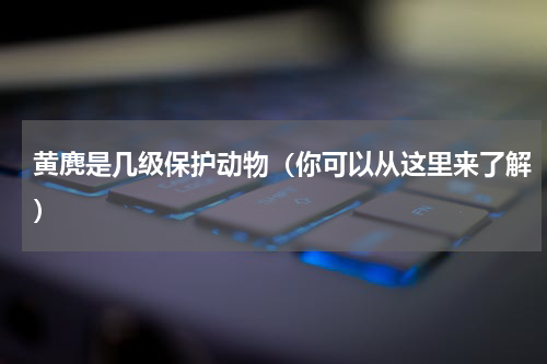 黄麂是几级保护动物（你可以从这里来了解）