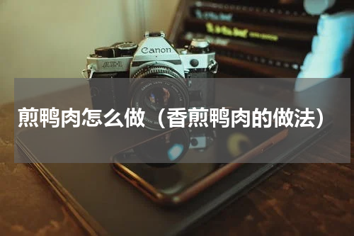 煎鸭肉怎么做（香煎鸭肉的做法）