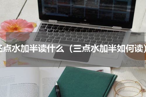 三点水加半读什么（三点水加半如何读）