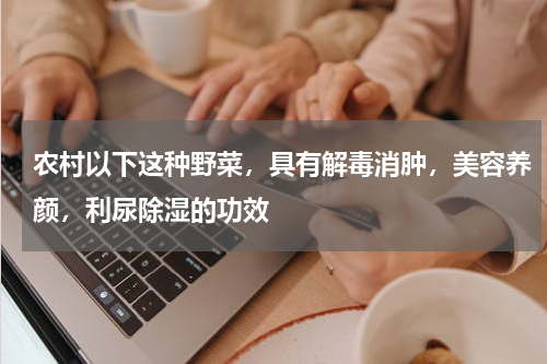 农村以下这种野菜，具有解毒消肿，美容养颜，利尿除湿的功效