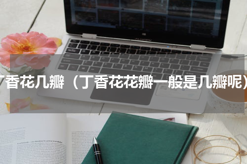 丁香花几瓣（丁香花花瓣一般是几瓣呢）
