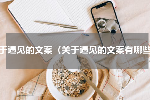 关于遇见的文案（关于遇见的文案有哪些）