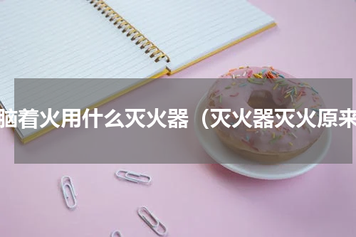 电脑着火用什么灭火器（灭火器灭火原来）