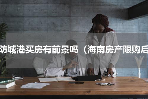 在防城港买房有前景吗（海南房产限购后）