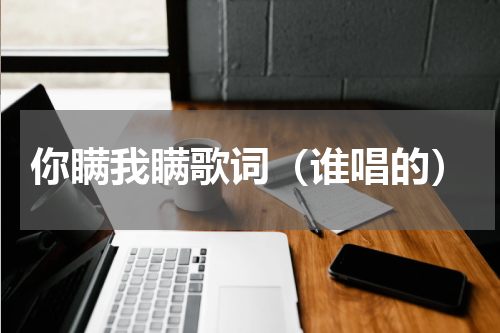 你瞒我瞒歌词（谁唱的）