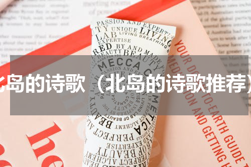 北岛的诗歌（北岛的诗歌推荐）