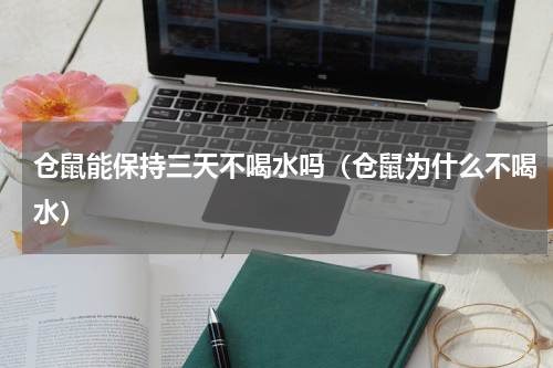 仓鼠能保持三天不喝水吗（仓鼠为什么不喝水）