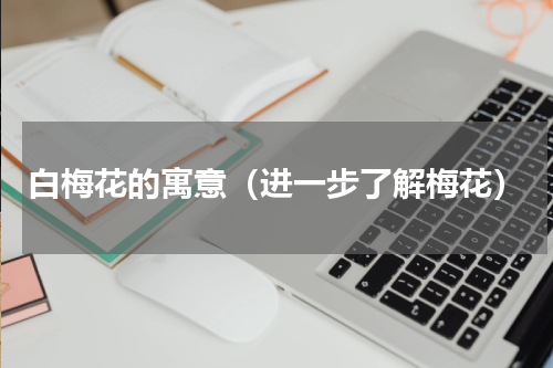 白梅花的寓意（进一步了解梅花）
