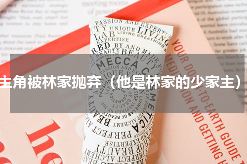 主角被林家抛弃（他是林家的少家主）