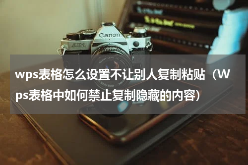 wps表格怎么设置不让别人复制粘贴（Wps表格中如何禁止复制隐藏的内容）
