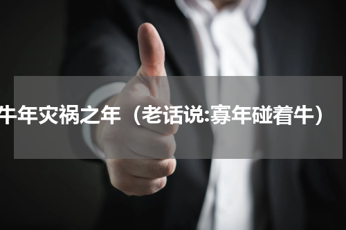 牛年灾祸之年（老话说:寡年碰着牛）