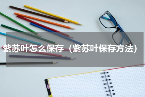 紫苏叶怎么保存（紫苏叶保存方法）