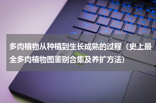 多肉植物从种植到生长成熟的过程（史上最全多肉植物图鉴别合集及养扩方法）