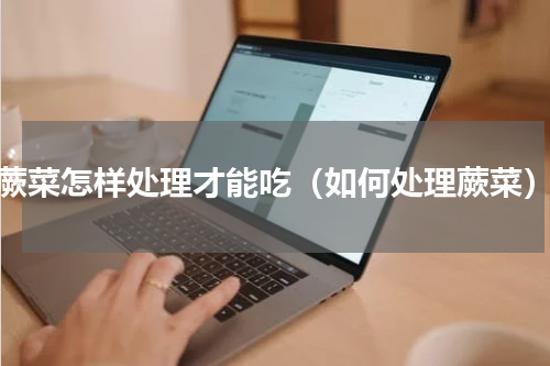 蕨菜怎样处理才能吃（如何处理蕨菜）