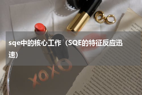 sqe中的核心工作（SQE的特征反应迅速）