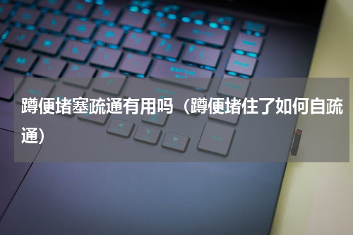 蹲便堵塞疏通有用吗（蹲便堵住了如何自疏通）