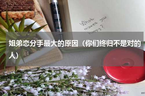 姐弟恋分手最大的原因（你们终归不是对的人）