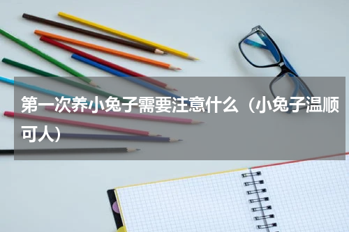 第一次养小兔子需要注意什么（小兔子温顺可人）