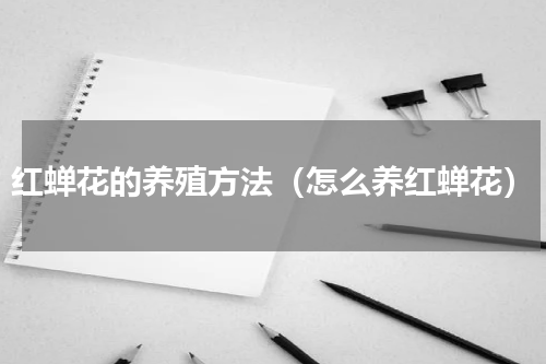 红蝉花的养殖方法（怎么养红蝉花）