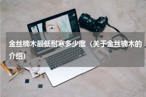 金丝楠木最低耐寒多少度（关于金丝楠木的介绍）