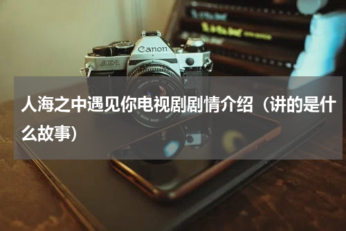 人海之中遇见你电视剧剧情介绍（讲的是什么故事）