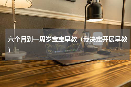 六个月到一周岁宝宝早教（我决定开展早教）