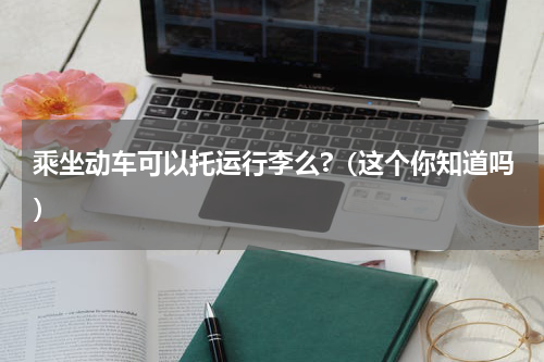 乘坐动车可以托运行李么?（这个你知道吗）