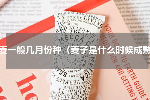 小麦一般几月份种（麦子是什么时候成熟）