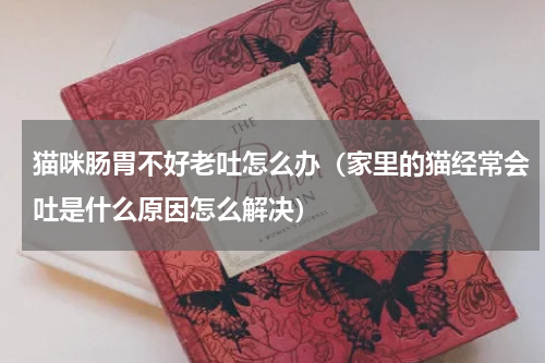 猫咪肠胃不好老吐怎么办（家里的猫经常会吐是什么原因怎么解决）