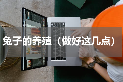 兔子的养殖（做好这几点）