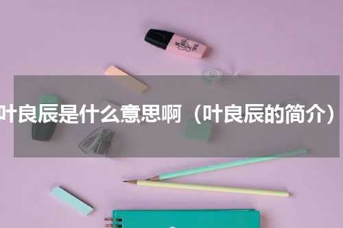 叶良辰是什么意思啊（叶良辰的简介）