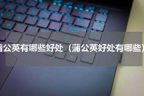 蒲公英有哪些好处（蒲公英好处有哪些）