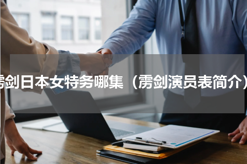 雳剑日本女特务哪集（雳剑演员表简介）