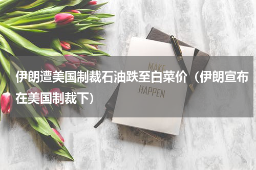 伊朗遭美国制裁石油跌至白菜价（伊朗宣布在美国制裁下）