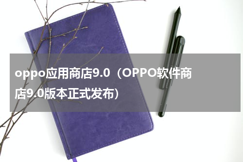 oppo应用商店9.0（OPPO软件商店9.0版本正式发布）