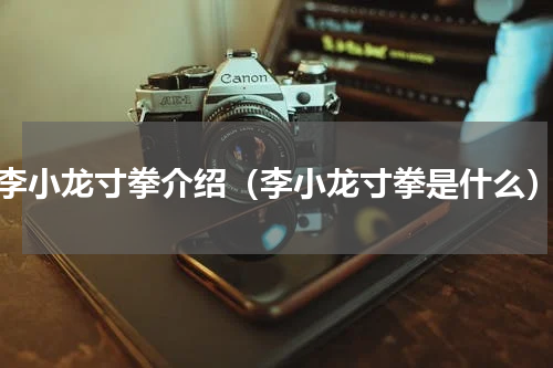 李小龙寸拳介绍（李小龙寸拳是什么）