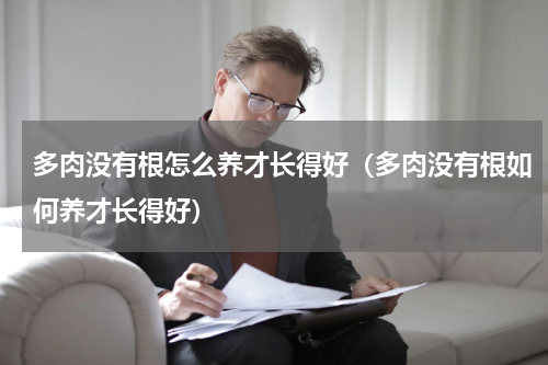 多肉没有根怎么养才长得好（多肉没有根如何养才长得好）