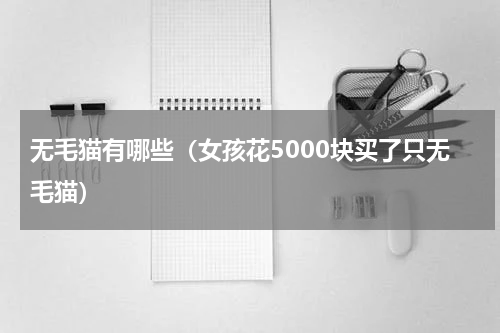 无毛猫有哪些（女孩花5000块买了只无毛猫）