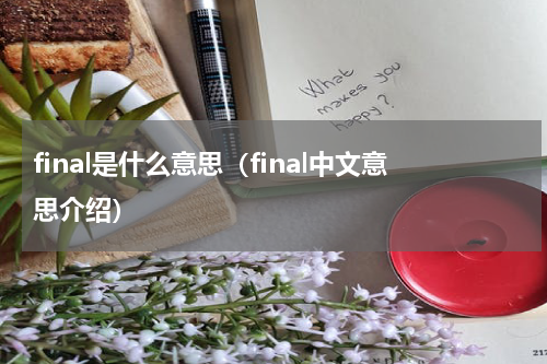 final是什么意思（final中文意思介绍）