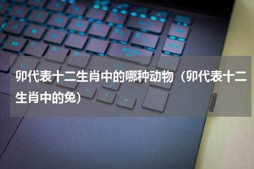 卯代表十二生肖中的哪种动物（卯代表十二生肖中的兔）