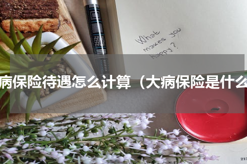大病保险待遇怎么计算（大病保险是什么）