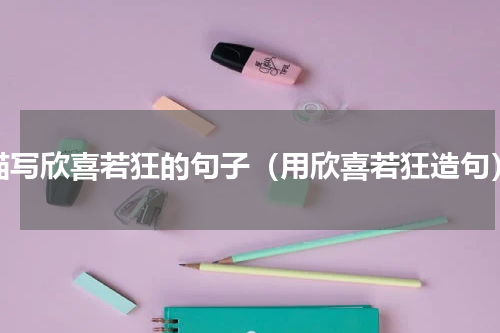 描写欣喜若狂的句子（用欣喜若狂造句）