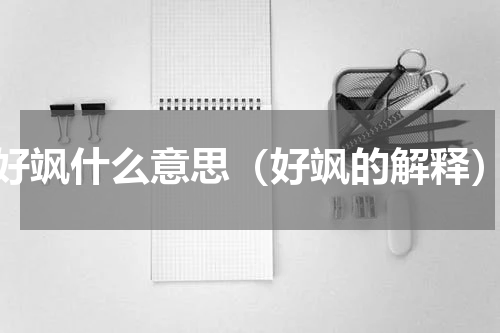 好飒什么意思（好飒的解释）
