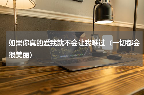 如果你真的爱我就不会让我难过（一切都会很美丽）