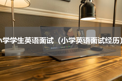 小学学生英语面试（小学英语面试经历）